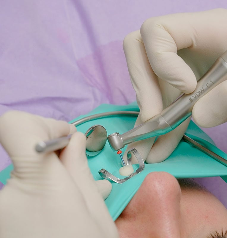 01_gallery_edodonzia