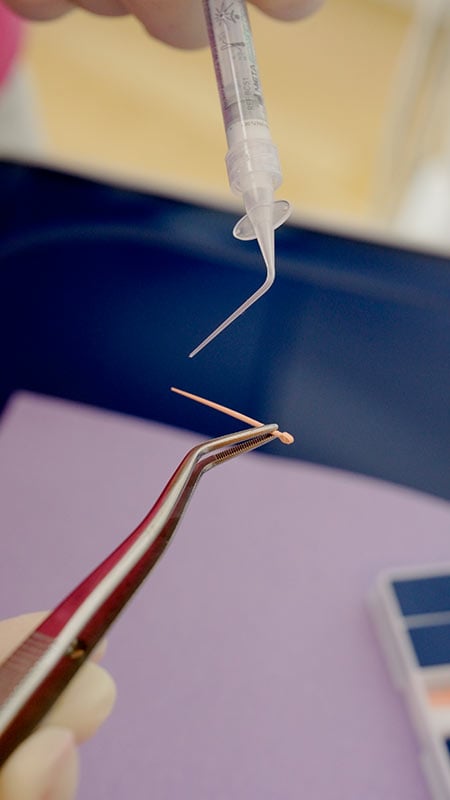 03_gallery_edodonzia