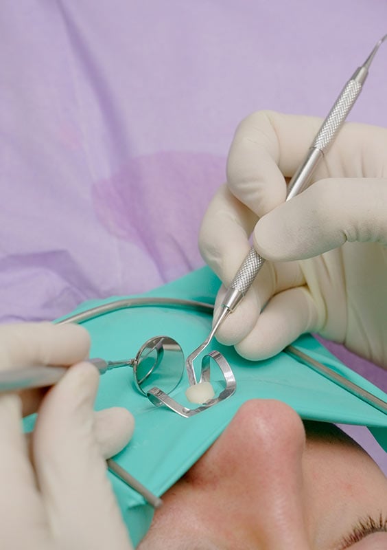 04_gallery_edodonzia